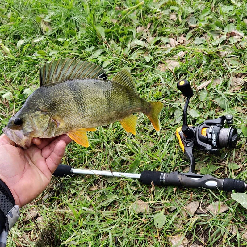 Okuma Jaw Spinning Reels